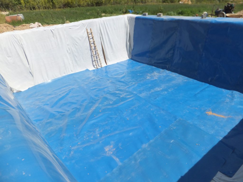 استخر ژئوممبران