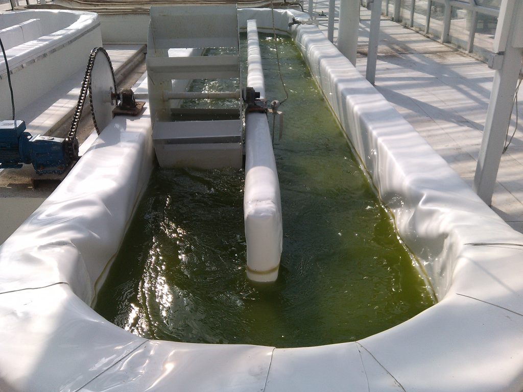 پرورش جلبک با ورق ژئوممبران