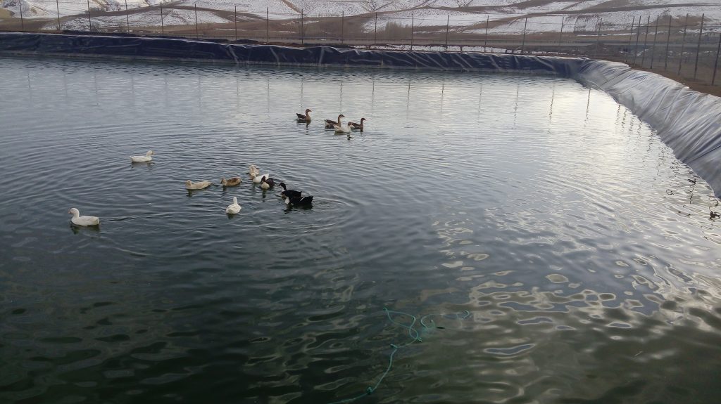 ژئوممبران کشاورزی